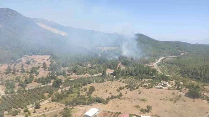 Seferihisar’da yangın
