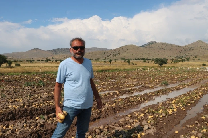 Sel basan tarlada toplanmaya bekleyen 35 ton patates sular altında kaldı
