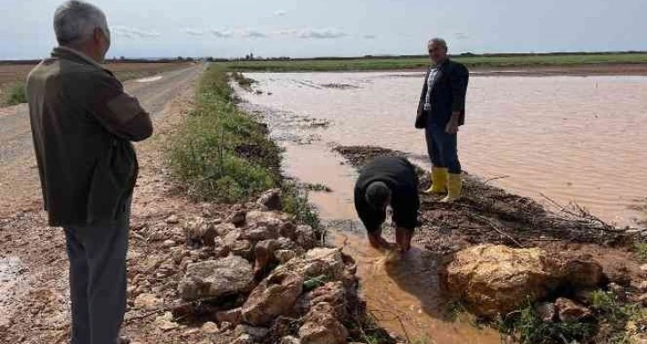 Sel, Suruç’ta ekili arazilere zarar verdi