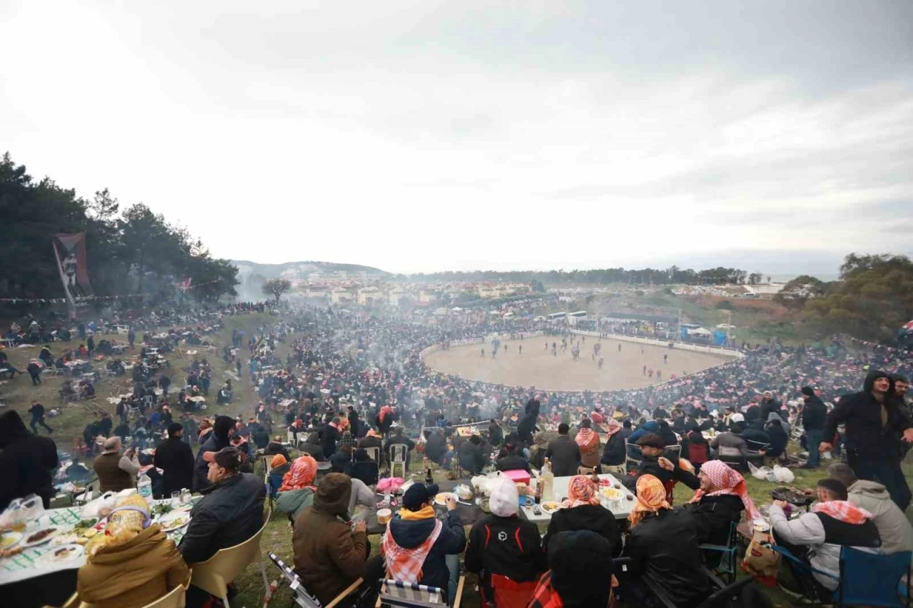 Selçuk’ta Deve Güreşleri Festivali heyecanı başlıyor
