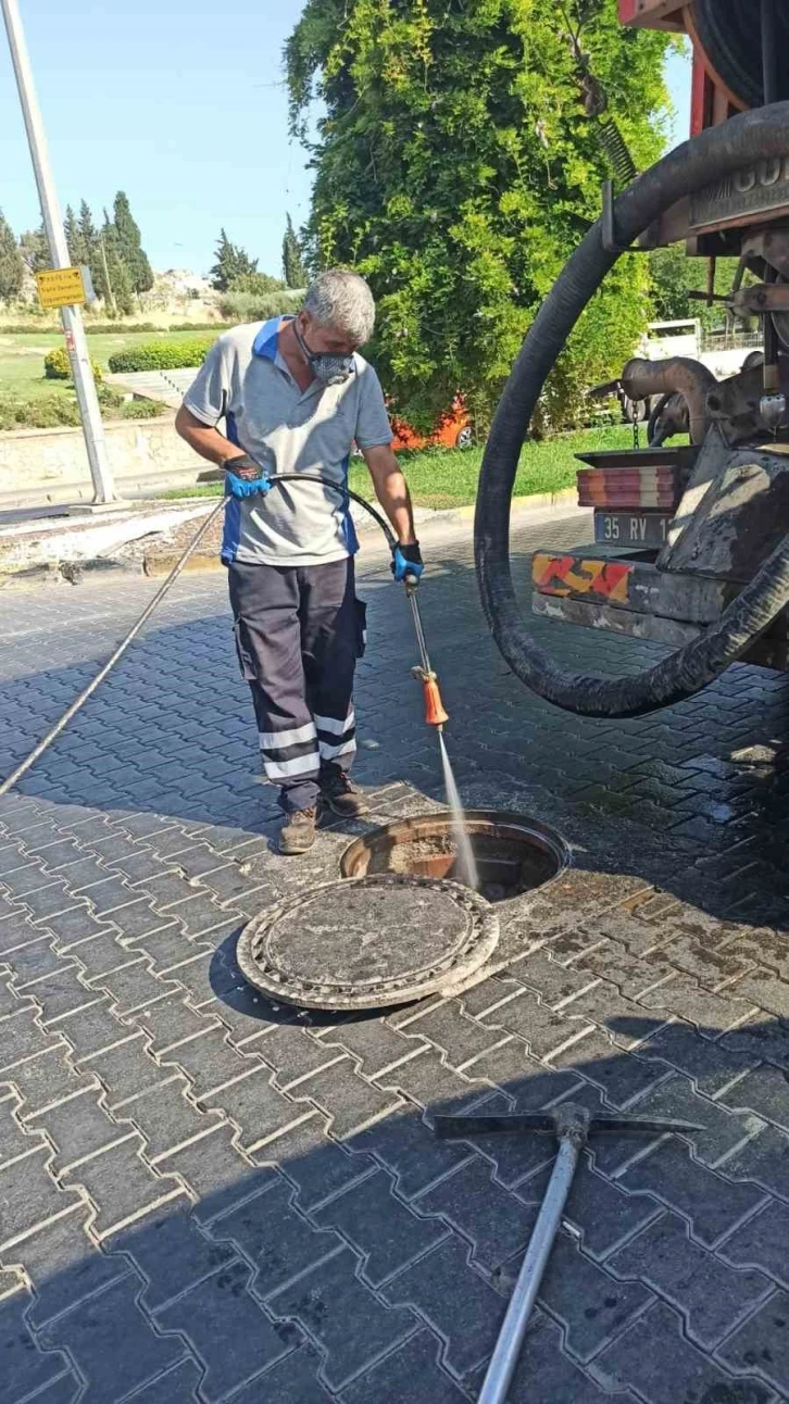 Selçuk’ta haşereyle mücadelede önlemler artırıldı
