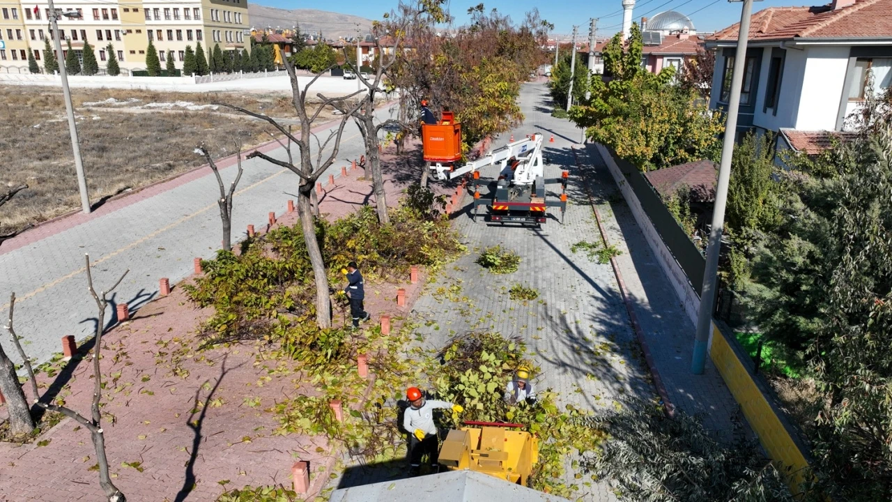 Selçuklu’da ağaç budama çalışmaları devam ediyor
