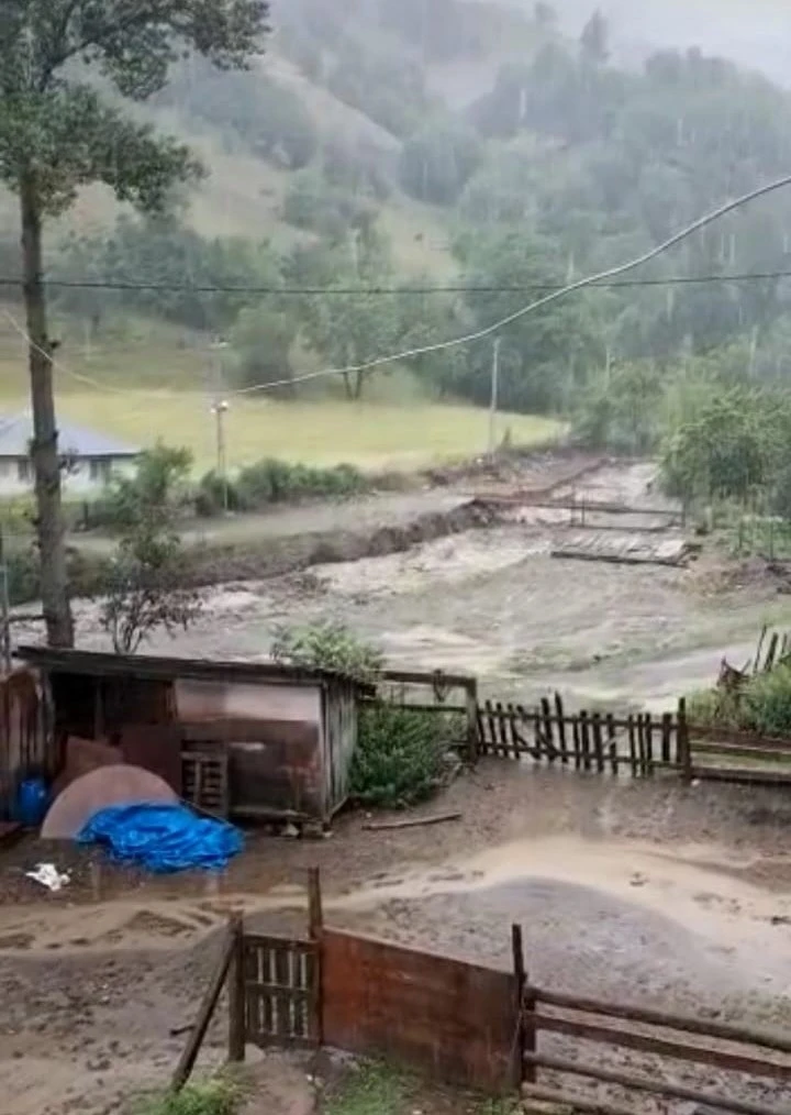 Sele kapılan ev ve mezarlık yok oldu
