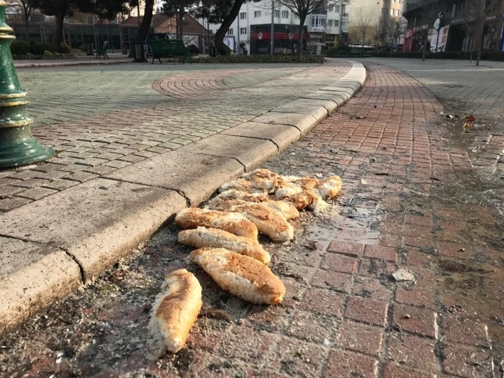 Sevimli dostlar için bırakılan ekmekler bu hale geldi
