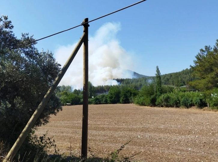 Seydikemer’de orman yangını çıktı
