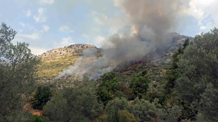 Seydikemer orman yangını söndürüldü
