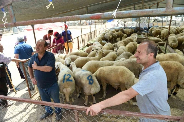 Seyhan’da "ücretsiz kurban kesim" hizmeti
