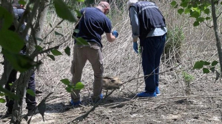 Seyhan Nehri kıyısında insan kemikleri ve kafatası bulundu