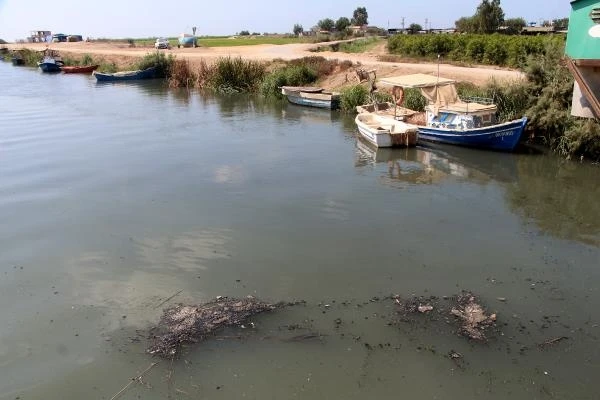 Seyhan Nehri'nin Akdeniz'e döküldüğü noktada kirlilik alarm veriyor