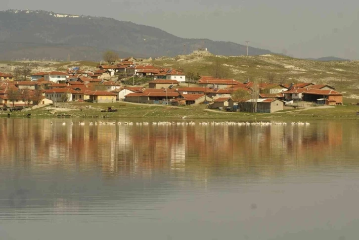 Seyitgazi ovasını sulayan Kunduzlar Barajı’nda su seviyesi azaldı
