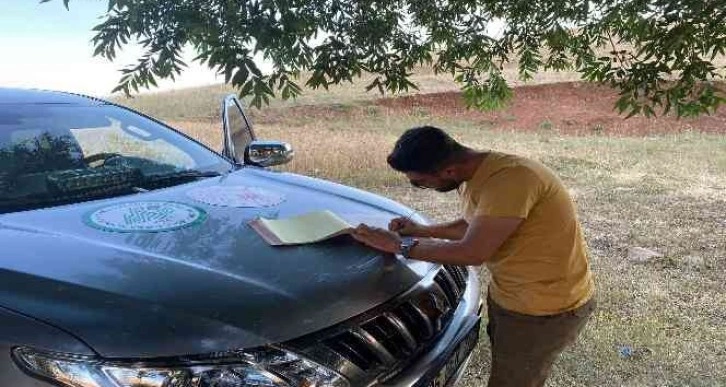 Sezonun başlamasını beklemeden ava çıktı, 3 bin 250 lira ceza yedi