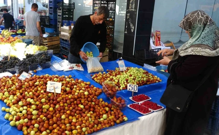 Şifa deposu hünnap tezgahlarda yerini aldı
