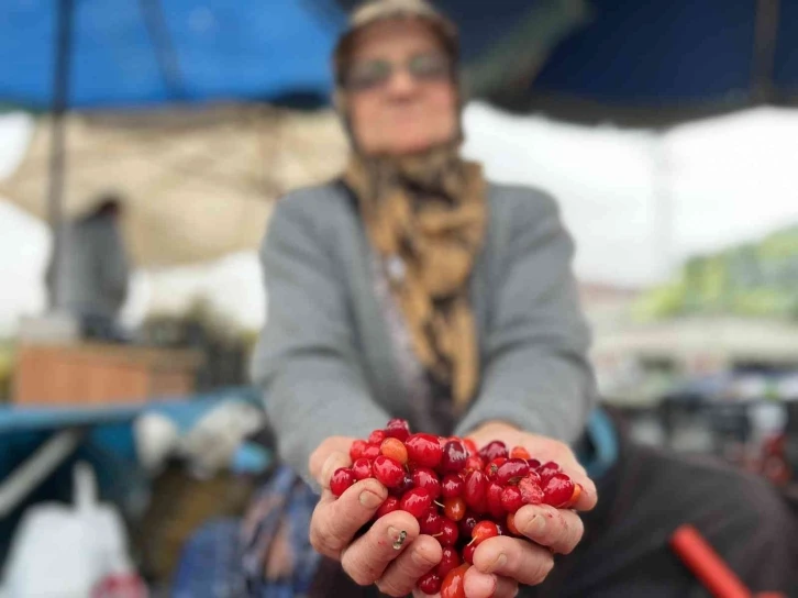 Şifa deposu tezgahtaki yerini aldı
