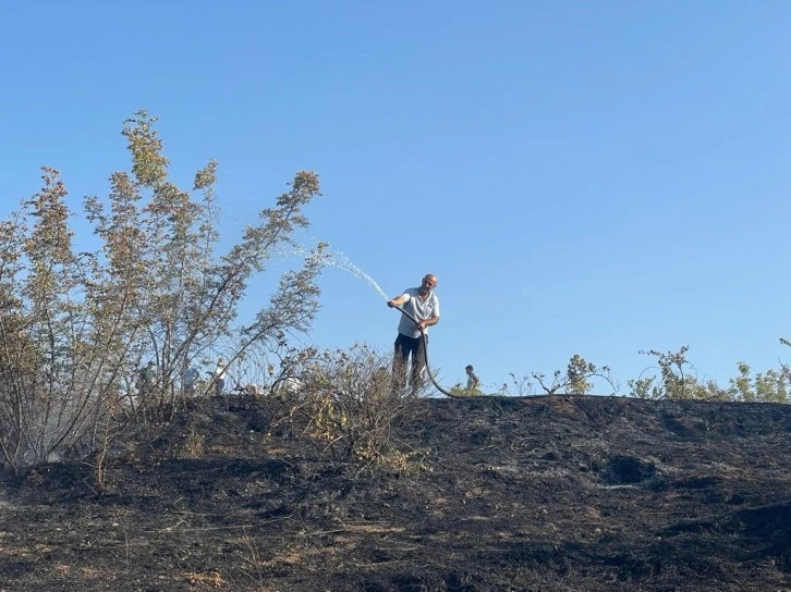 Siirt’te bağda çıkan yangın, çiftçinin emeğini kül etti
