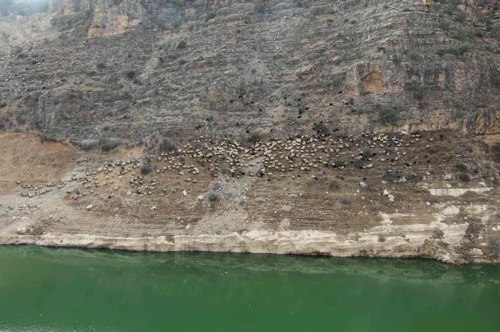 Siirt’te baraj suyu yolları kapattı
