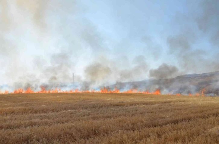 Siirt’te çiftçilere ve piknikçilere anız uyarısı
