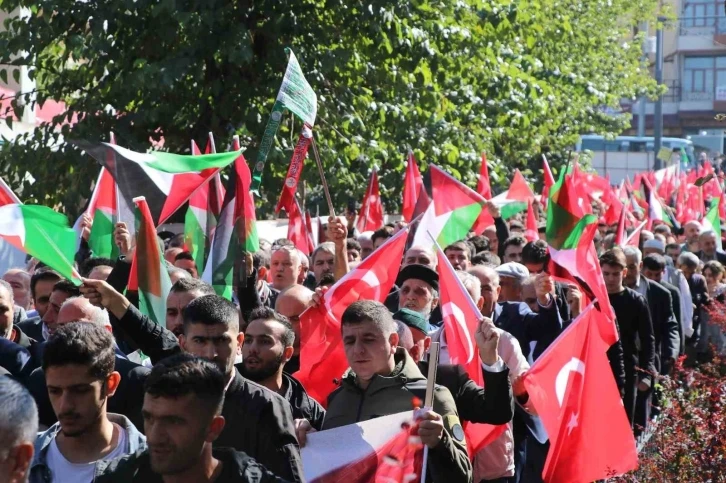 Siirt’te Filistin’e destek yürüyüşü
