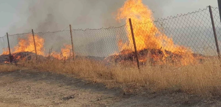 Siirt’te fıstık ve üzüm bahçesinde çıkan yangın söndürüldü
