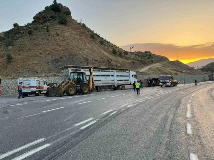 Siirt’te tır devrildi: 2 kişi yaralandı, 40 küçükbaş hayvan telef oldu