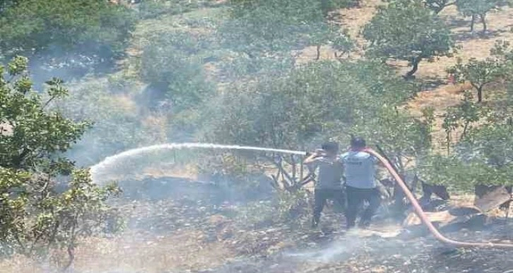 Siirt’te fıstık bahçesinde çıkan yangın söndürüldü