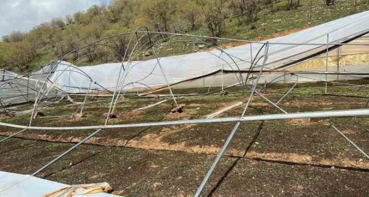 Siirt’te şiddetli rüzgar seralara zarar verdi