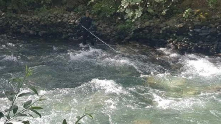 Siirt'te suya düşüp kaybolan hemşireyi arama çalışmaları devam ediyor