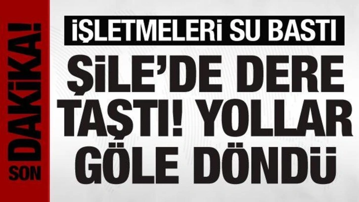 Şile'de dere taştı, yollar göle döndü: İşletmeleri su bastı