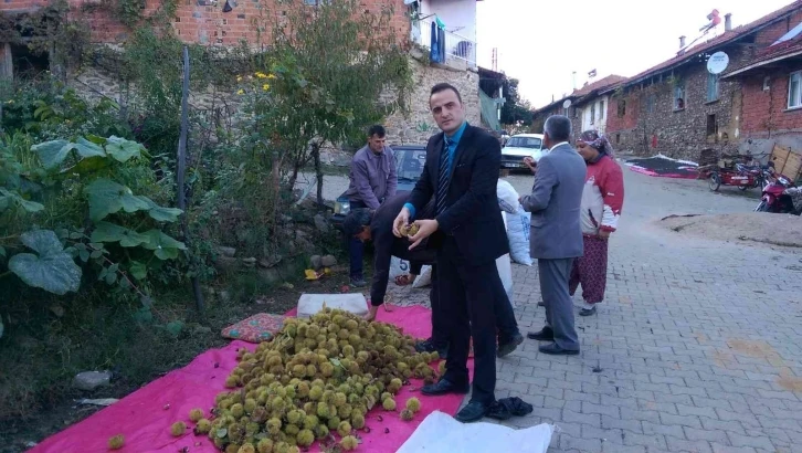 Simav Kestanesine coğrafi işaret belgesi
