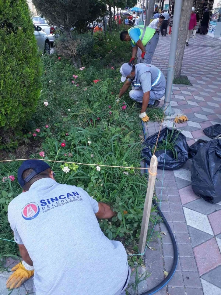 Sincan Belediyesi yeşil alanlarda bakım çalışmaları yapıyor
