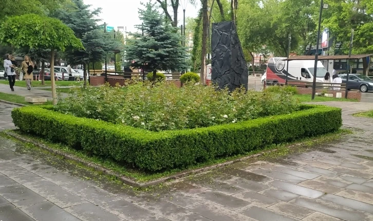 Sincan Belediyesinden ağaçlara bakım
