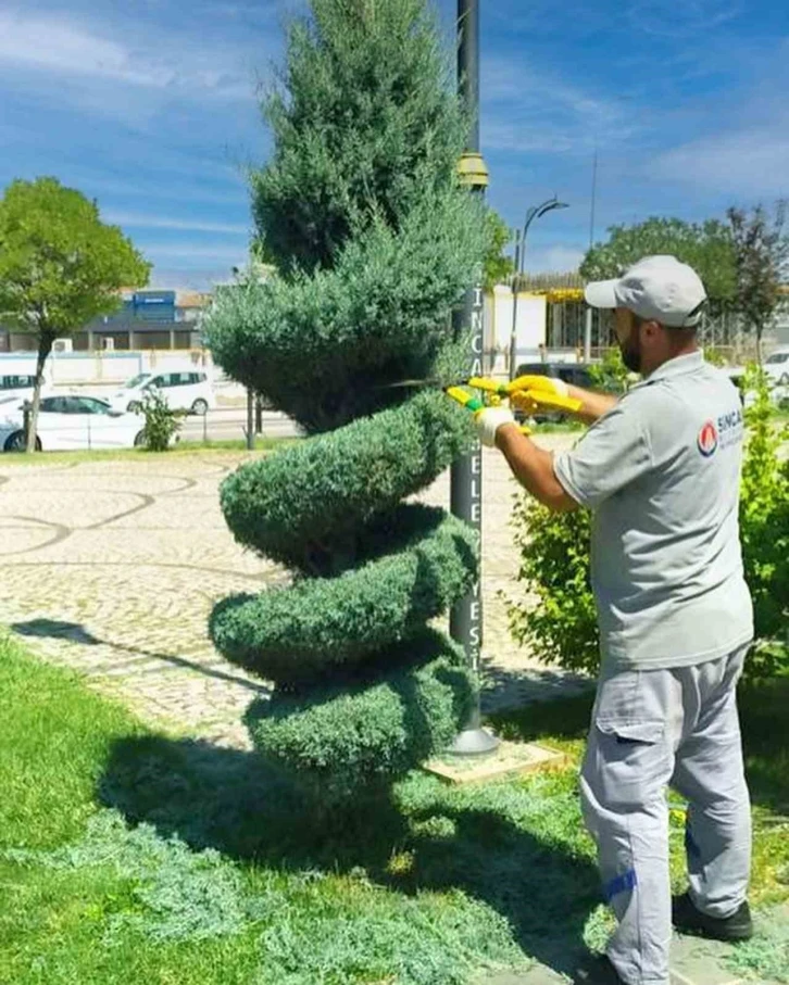 Sincan’da parklardaki ağaçlar görüntüleriyle görenleri kendine hayran bırakıyor
