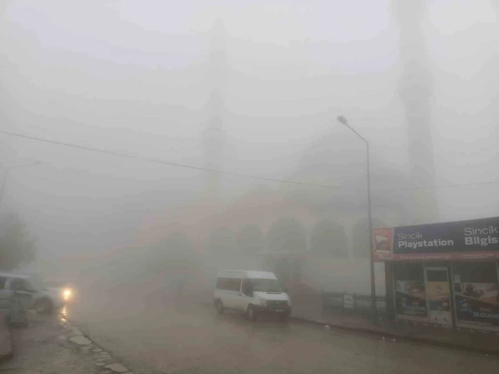 Sincik ilçesinde yoğun sis etkili oldu
