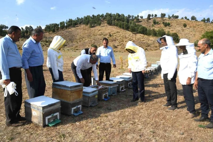 Sincik’te bal sağım sezonu başladı
