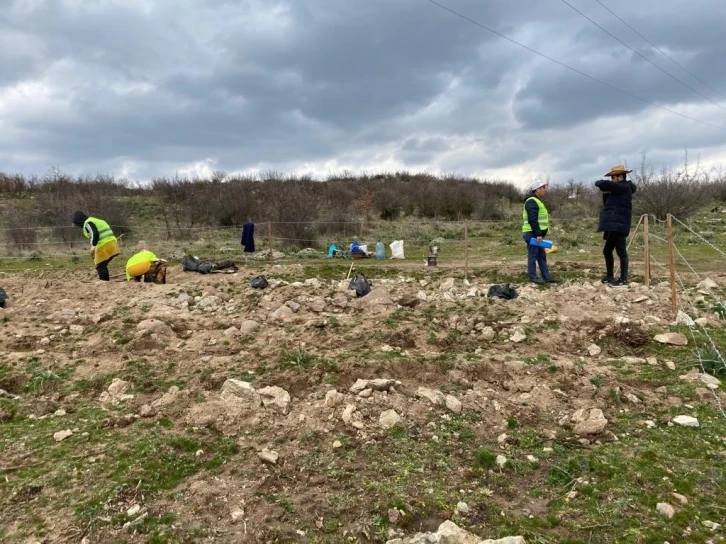 Sındırgı’da bal ormanı kuruluyor
