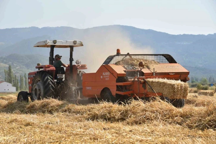 Sındırgı’da kışlık yem hasadı gerçekleştirildi
