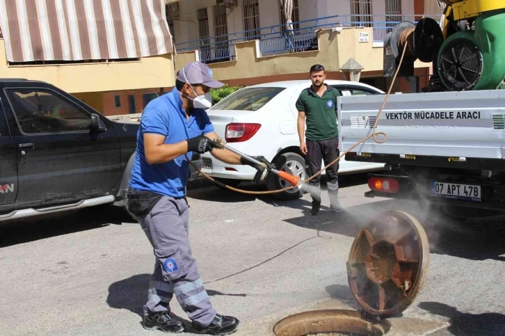 Sinek ve haşereyle mücadele sürüyor
