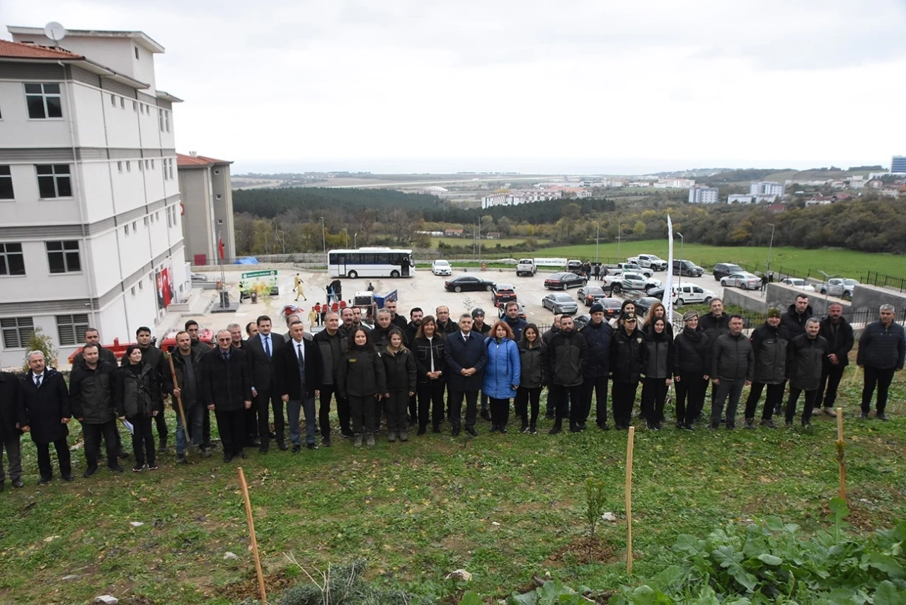 Sinop’ta 11 bin 610 fidan toprakla buluştu
