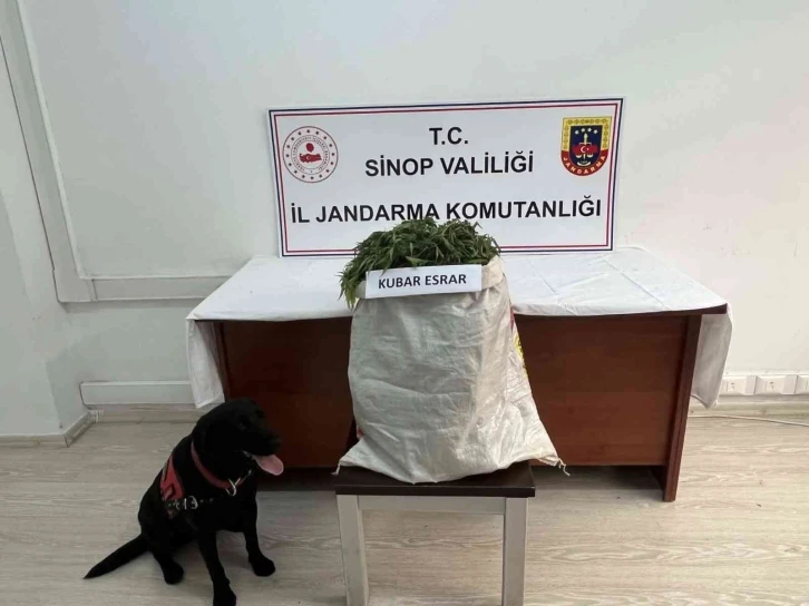 Sinop’ta 2,68 kilo esrar ele geçti: 1 gözaltı
