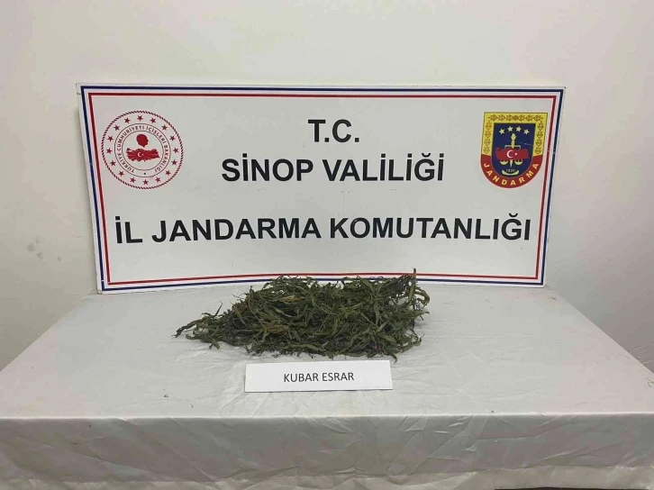 Sinop’ta jandarmadan uyuşturucu operasyonu
