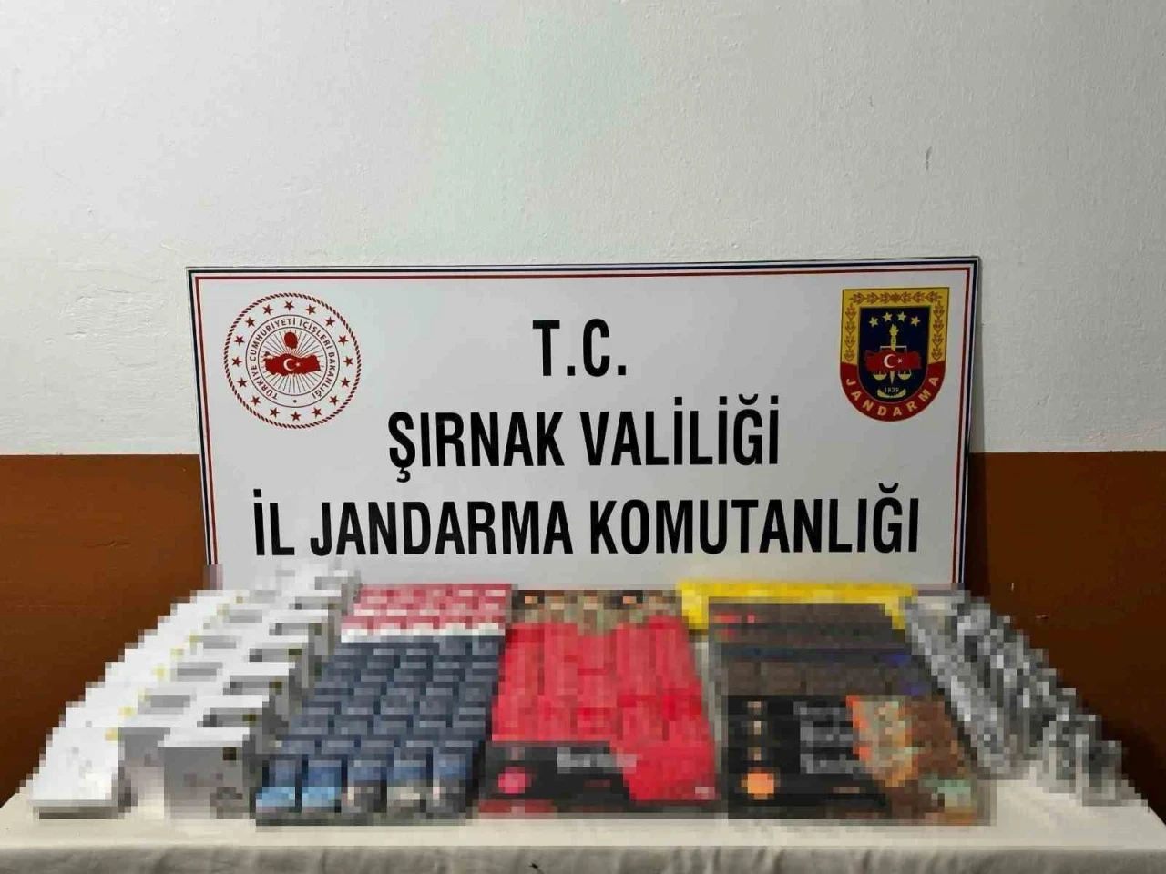 Şırnak’ta 11 şüpheliye işlem yapıldı
