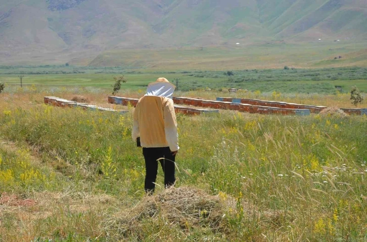 Şırnak’ta 700 ton baldan 150 milyon lira gelir hedefleniyor
