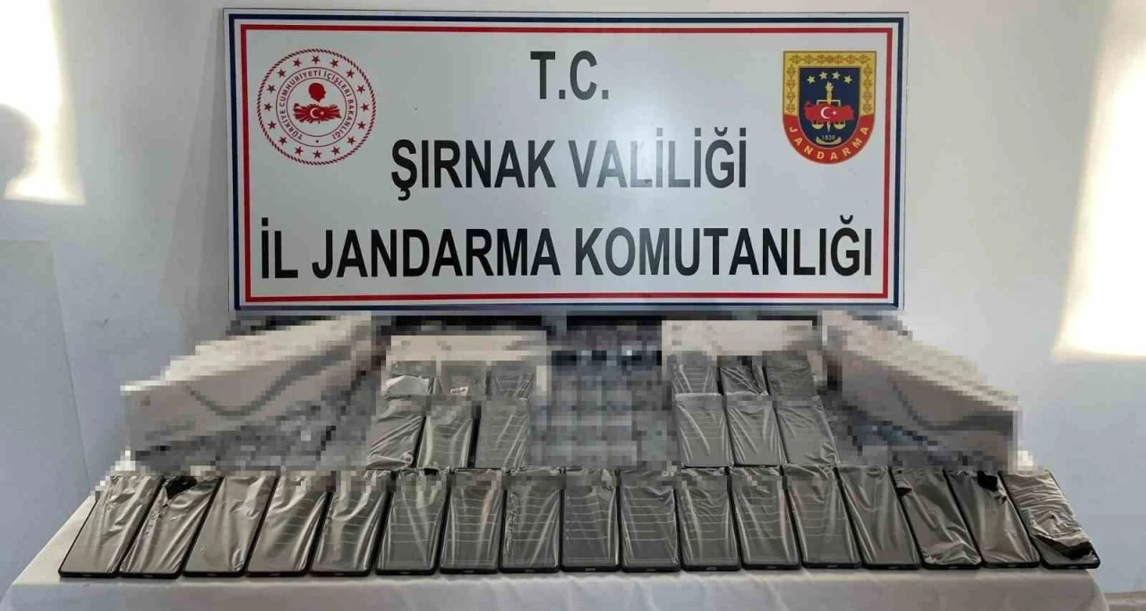 Şırnak’ta jandarma ekipleri 6 milyon 200 bin TL’lik kaçakçılığı önlendi
