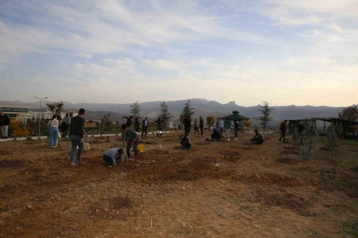 Şırnak Üniversitesi’nde bin adet fidan toprakla buluşturuldu
