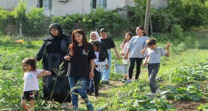 Şırnak’ın sebze ihtiyacını karşılamak için harekete geçildi