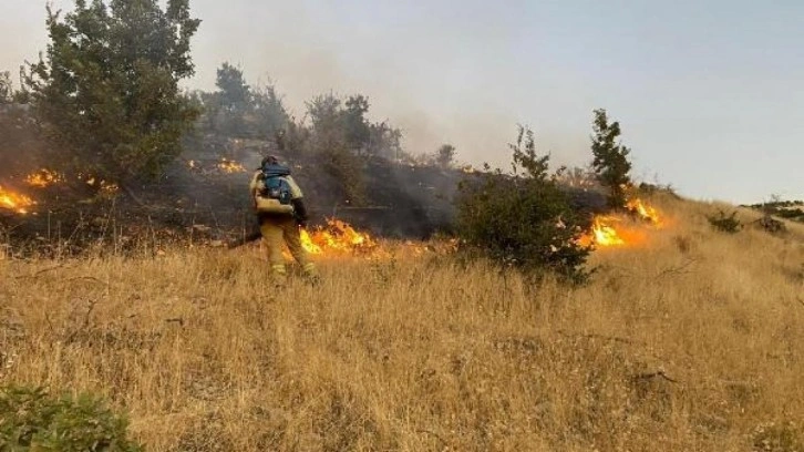 Şırnak'ta çıkan örtü yangını kontrol altına alındı