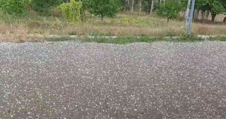 Sivas’ta dolu yağışı etkili oldu
