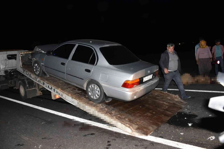 Siverek’te otomobil koyun sürüne daldı, 12 koyun telef oldu
