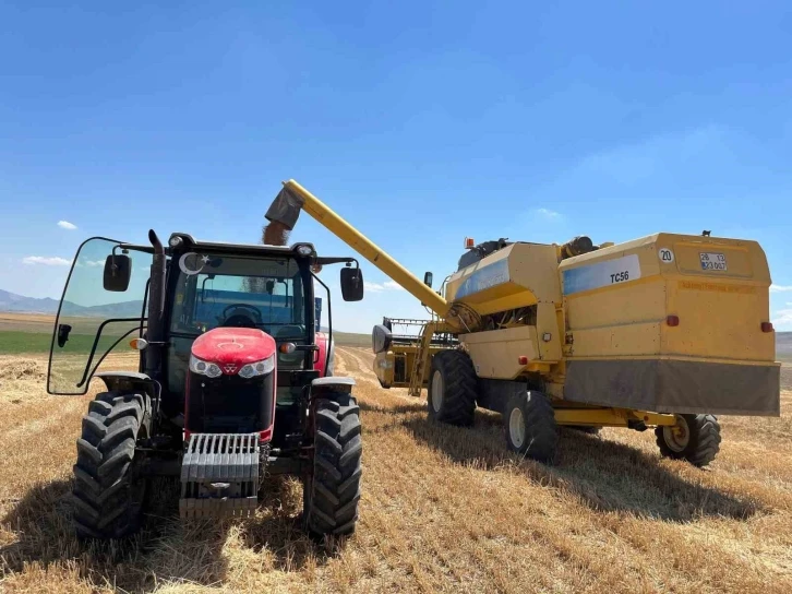Sivrihisar’da çiftçi dönümden 300 kilogram buğday aldı
