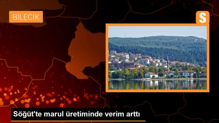 Söğüt'te marul üretiminde verim arttı