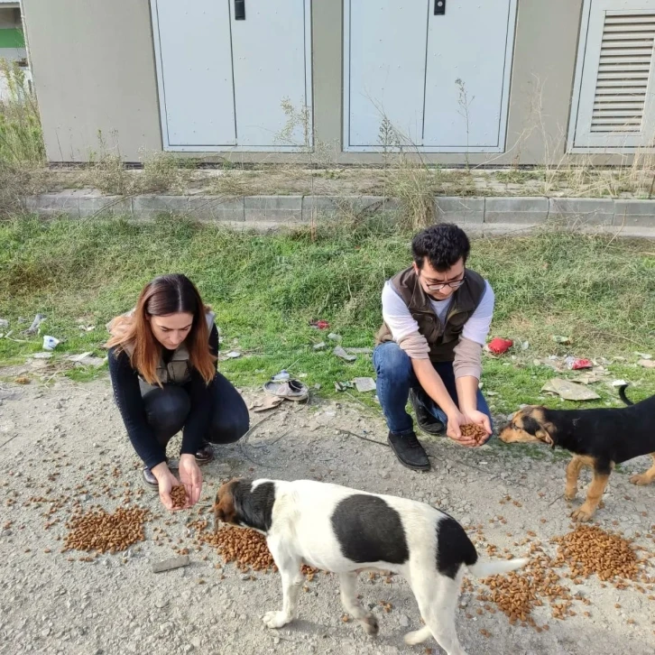 Sokak hayvanlarına mama bırakıldı
